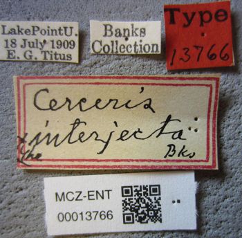 Media type: image;   Entomology 13766 Aspect: labels
